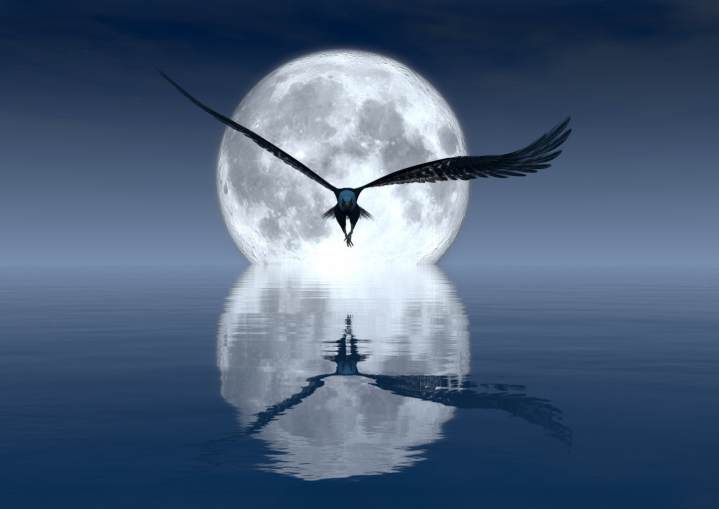 Midnight Soar Poster Print
