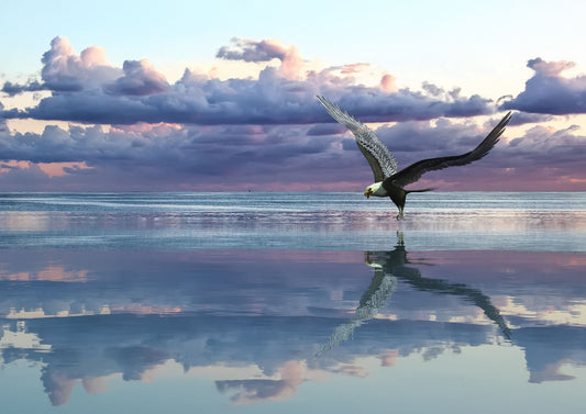 Reflections of Freedom  – Eagle Wall Art Poster Print, Vibrant Nature Design, Available Framed