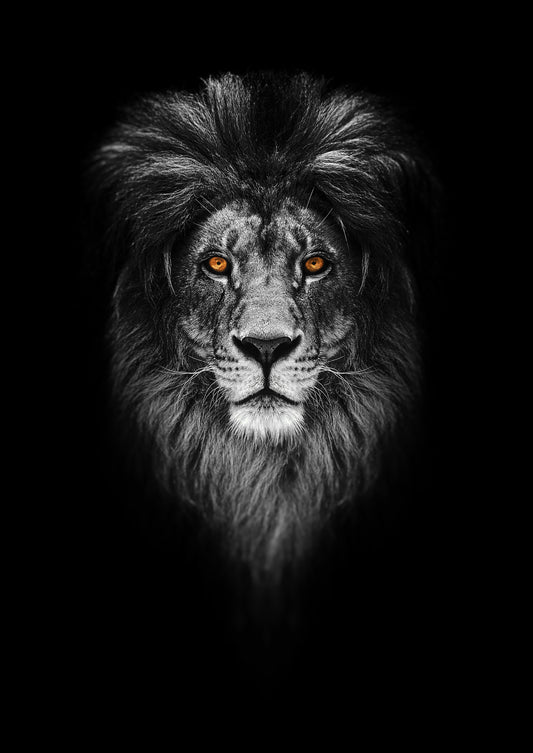 Born of Flame – Big Cat Wall Art Poster Print, Modern Contemporary Lion Design, Available Framed