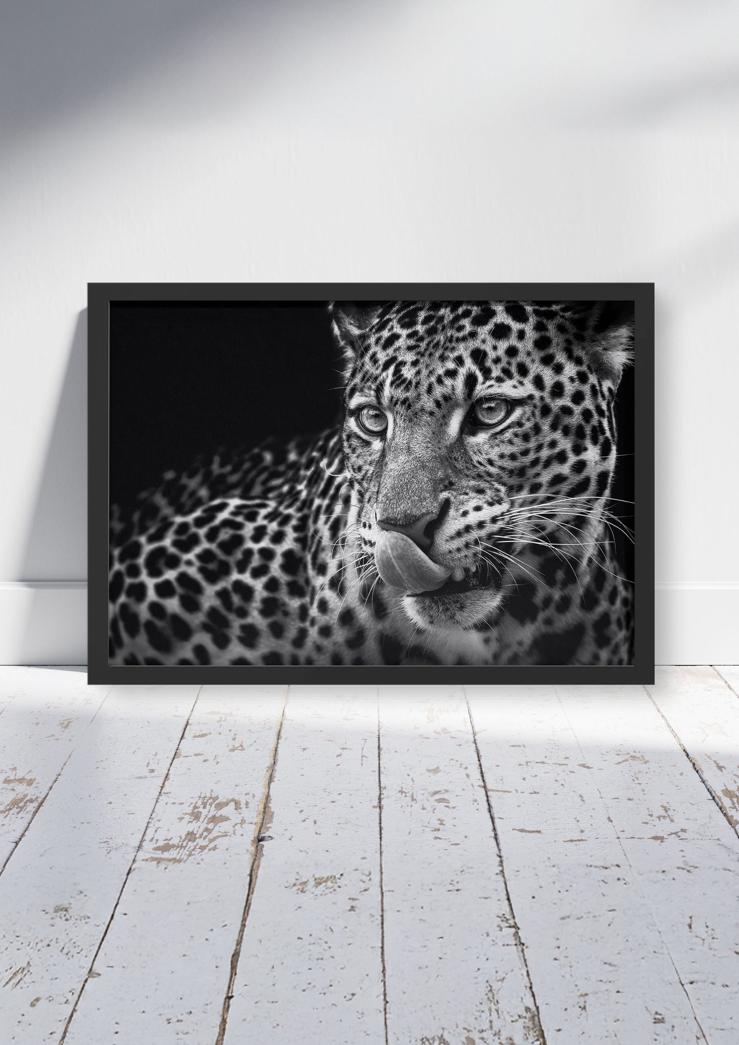 The Gaze – Big Cat Wall Art Poster Print, Modern Contemporary Leopard Design, Available Framed