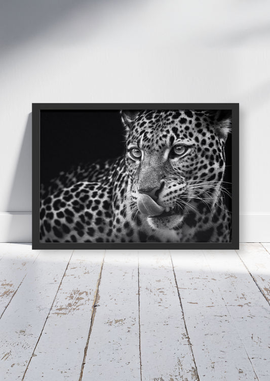 The Gaze – Big Cat Wall Art Poster Print, Modern Contemporary Leopard Design, Available Framed