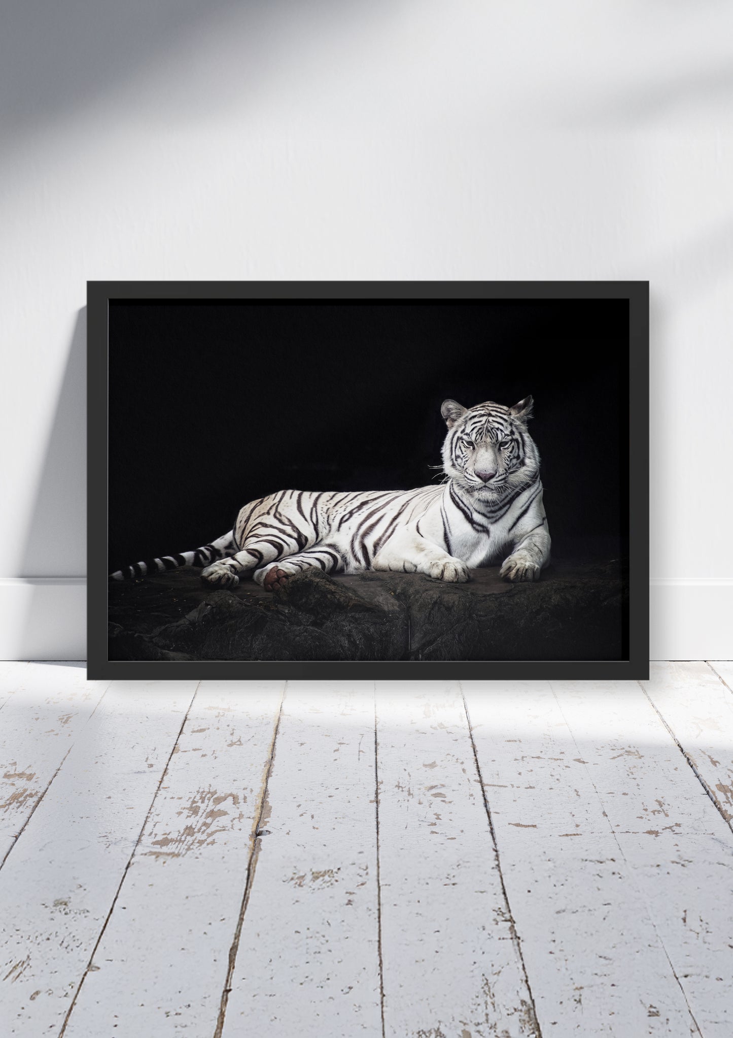 Ivory Empress – Big Cat Wall Art Poster Print, Modern Contemporary White Tiger Design, Available Framed