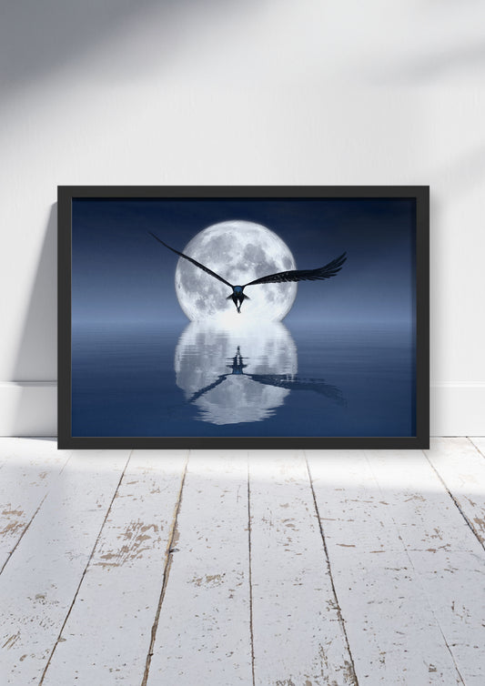 Midnight Soar  – Bird Wall Art Poster Print, Bold Nature Design, Available Framed