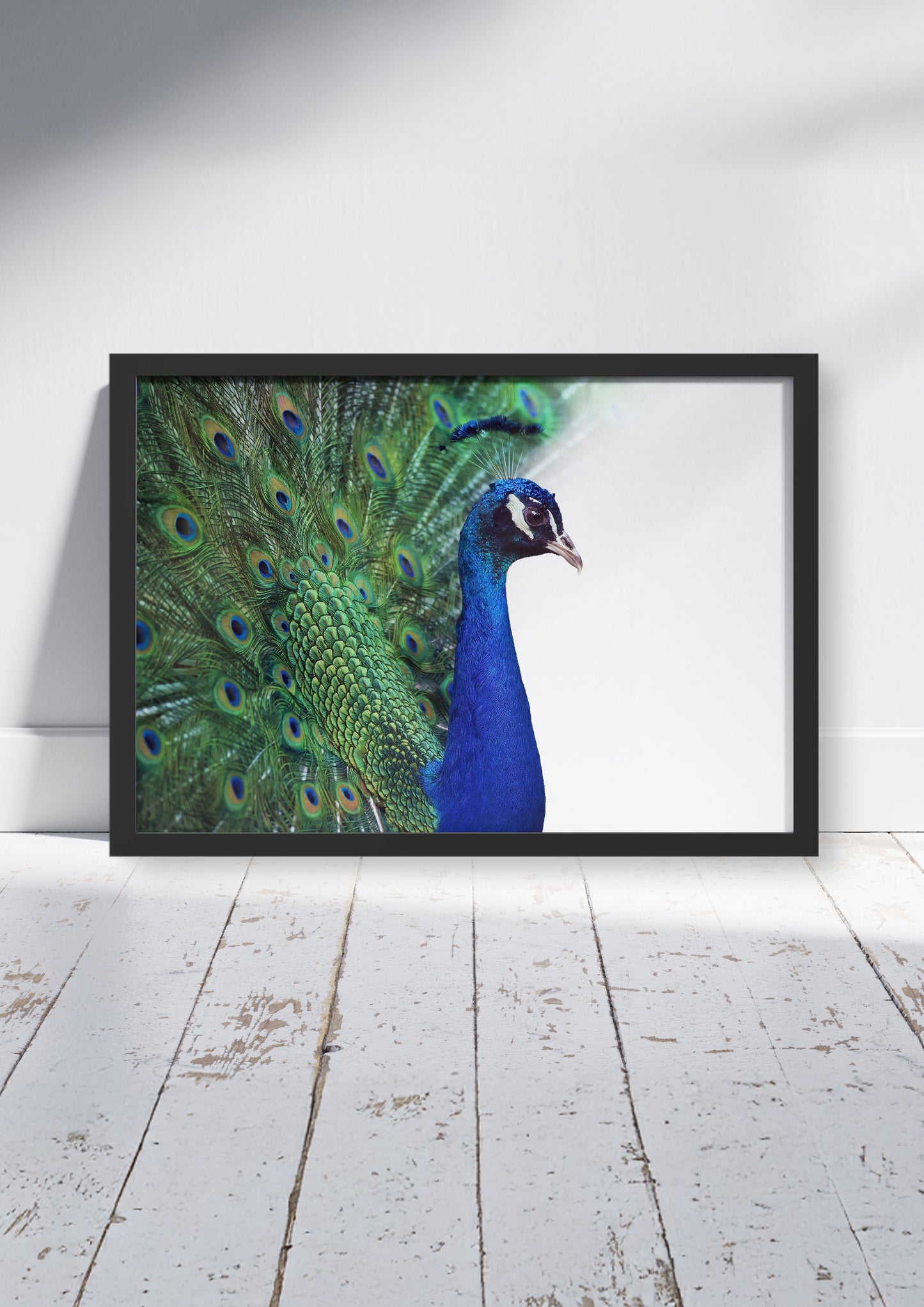 The Opal Court  – Peacock Wall Art Poster Print, Vibrant Nature Design, Available Framed