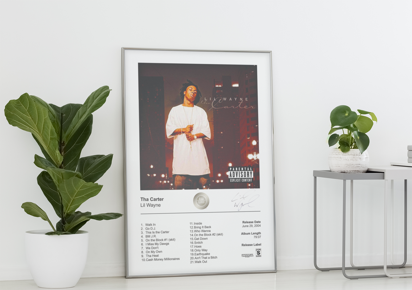 Lil Wayne Poster - Tha Carter Album Cover Poster Print