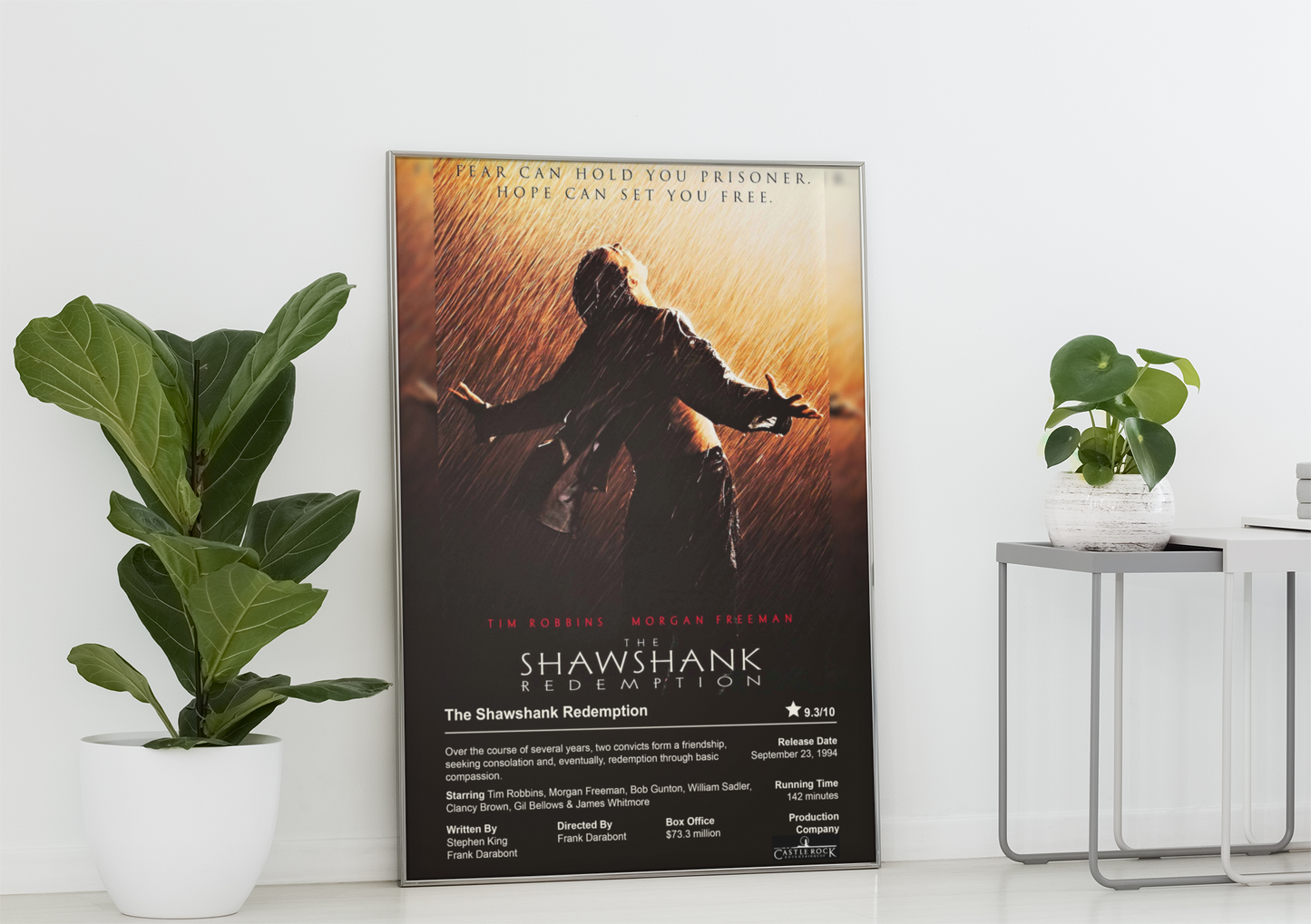 The Shawshank Redemption Movie Poster - Tim Robbins 1994 Prison Drama Film Poster Print