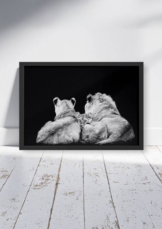 Royal Trio – Big Cat Wall Art Poster Print, Modern Contemporary Lion Design, Available Framed
